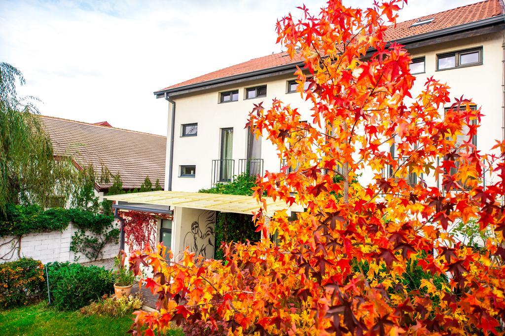 May Residence Dumbravita (Timis) Exterior foto